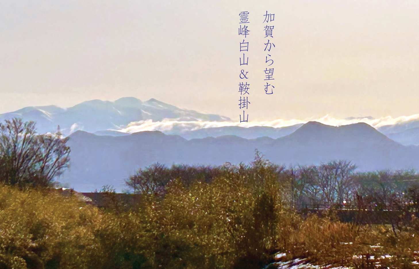げんば堂 オンラインショップ